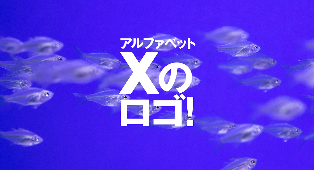 Xをモチーフにしたロゴ アルファベット編 デザイン ロゴマーク 作成 制作なら ロゴだく